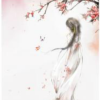 张柯