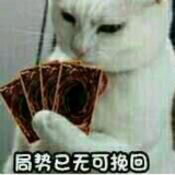 荆开磊