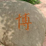 马志杰