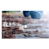 袁健