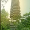 任秒元