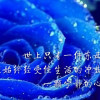 龙淑莹